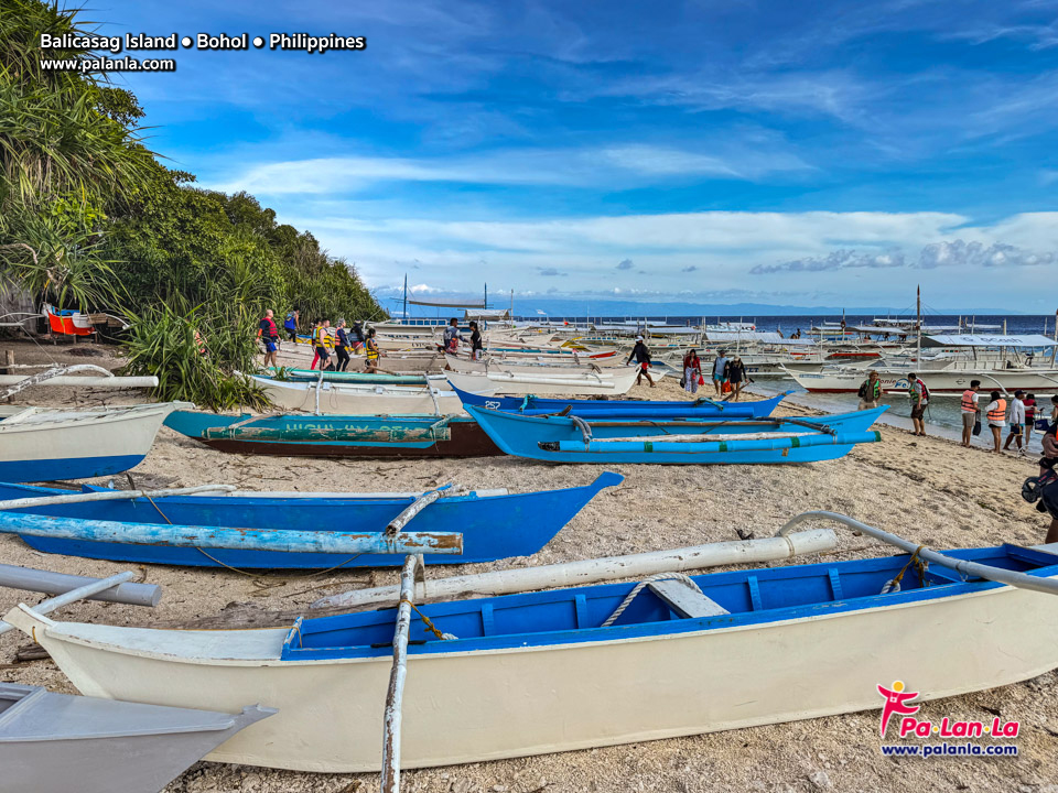 Balicasag Island